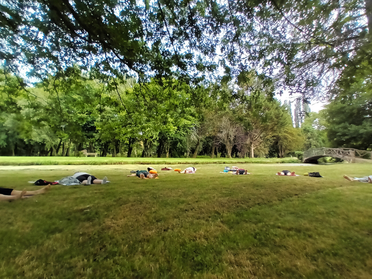 YOGA dans un superbe parc , St-Calais, août 2024